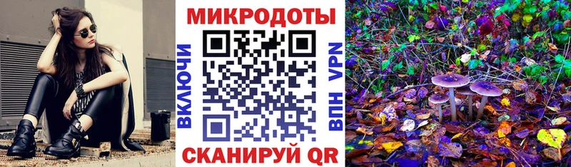 Галлюциногенные грибы Psilocybe  Карталы 